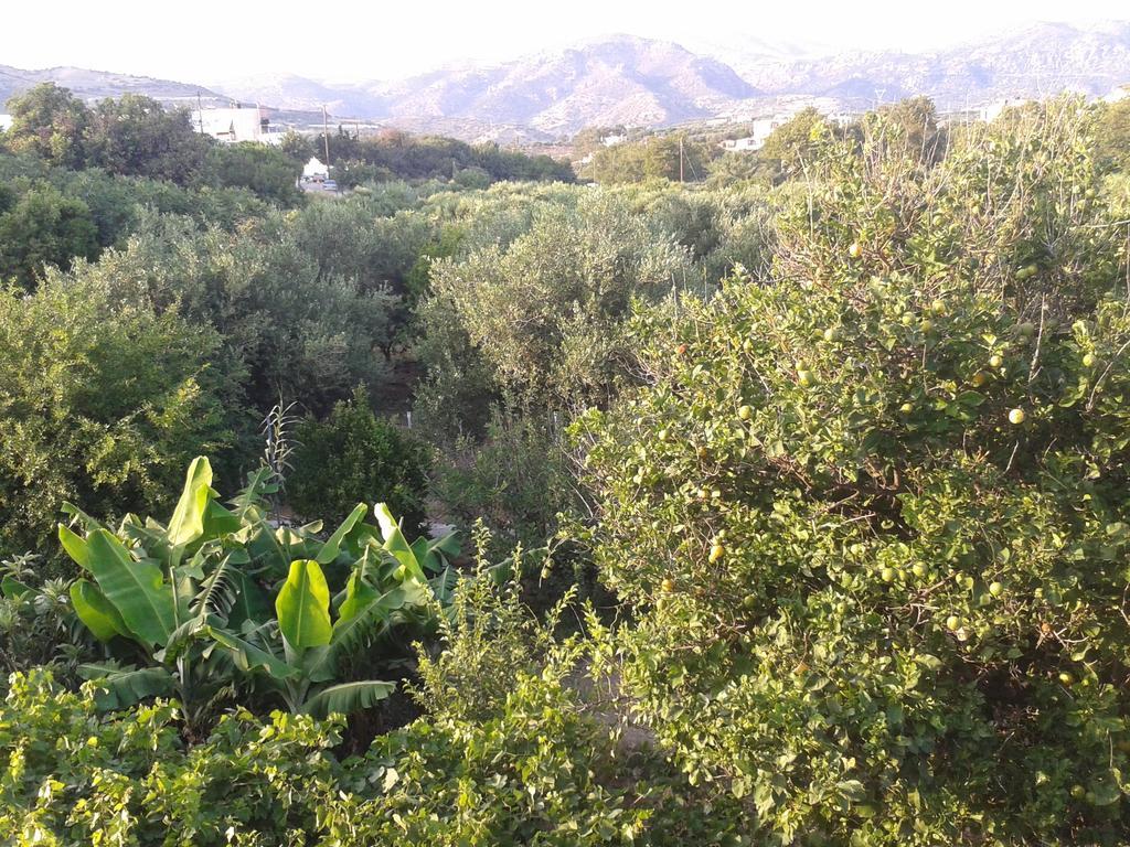 Βig Βlue Apartments Makrýgialos Cameră foto